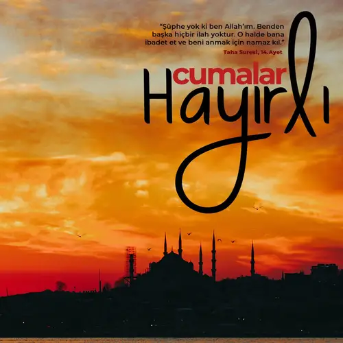 Çılgın Sohbet, Çılgın Chat Odaları
