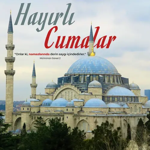 Öğrenci Sohbet Siteleri